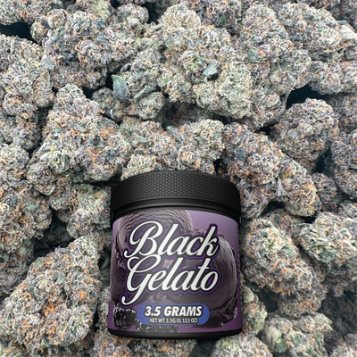 Jar of Black Gelato jar surrounded by similar flower