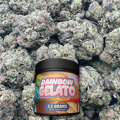 Jar of Rainbow Gelato cannabis product with buds in the background