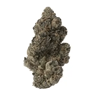 nug-loop