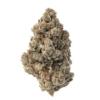 nug-loop