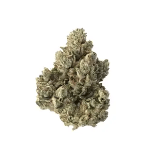 nug-loop