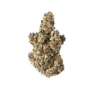 nug-loop