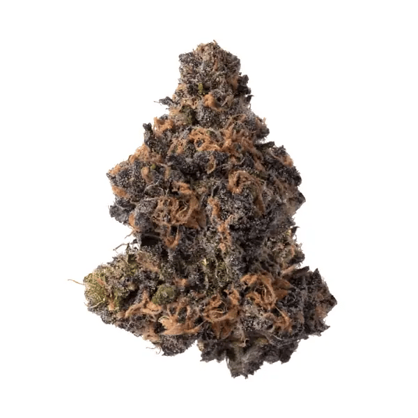 nug-loop-hd