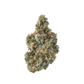 nug-loop