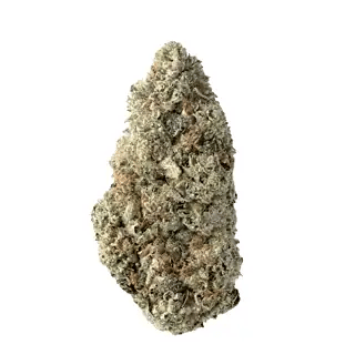nug-loop