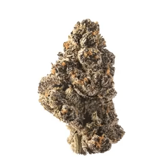 nug-loop