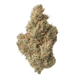 nug-loop