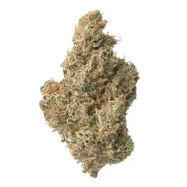 nug-loop-hd