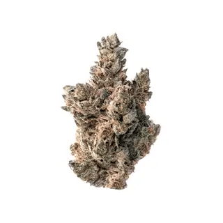nug-loop