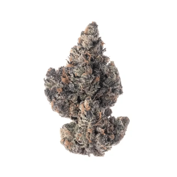 nug-loop-hd