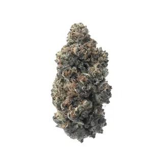 nug-loop