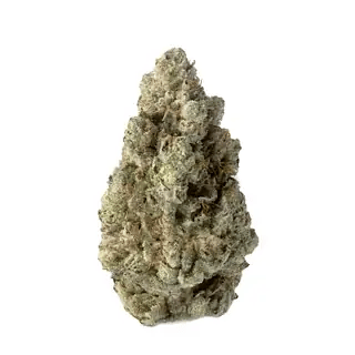 nug-loop