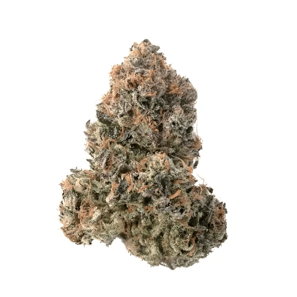 nug-loop-hd