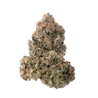 nug-loop
