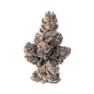 nug-loop
