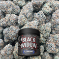 Black Widow container on a bed of flower