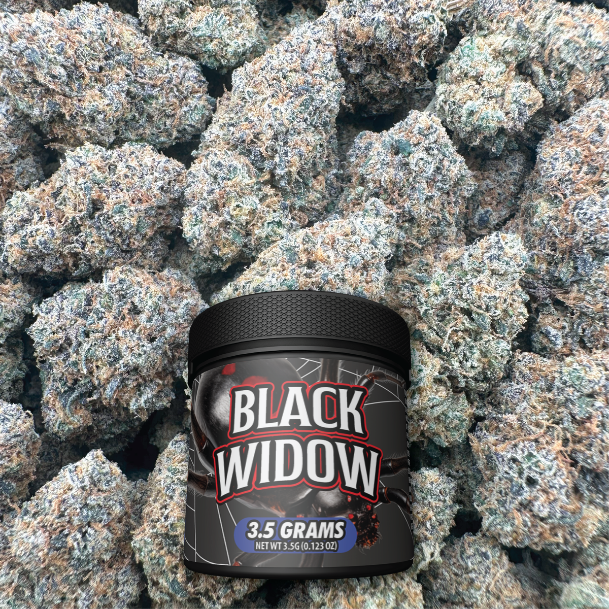 Black Widow container on a bed of flower