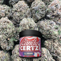 Jar of 'Candy Certz' on a background of buds