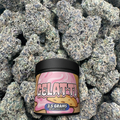 Jar labeled 'Gelatii' in front of flower