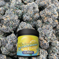 Jar of 'Gelonade' surrounded by buds