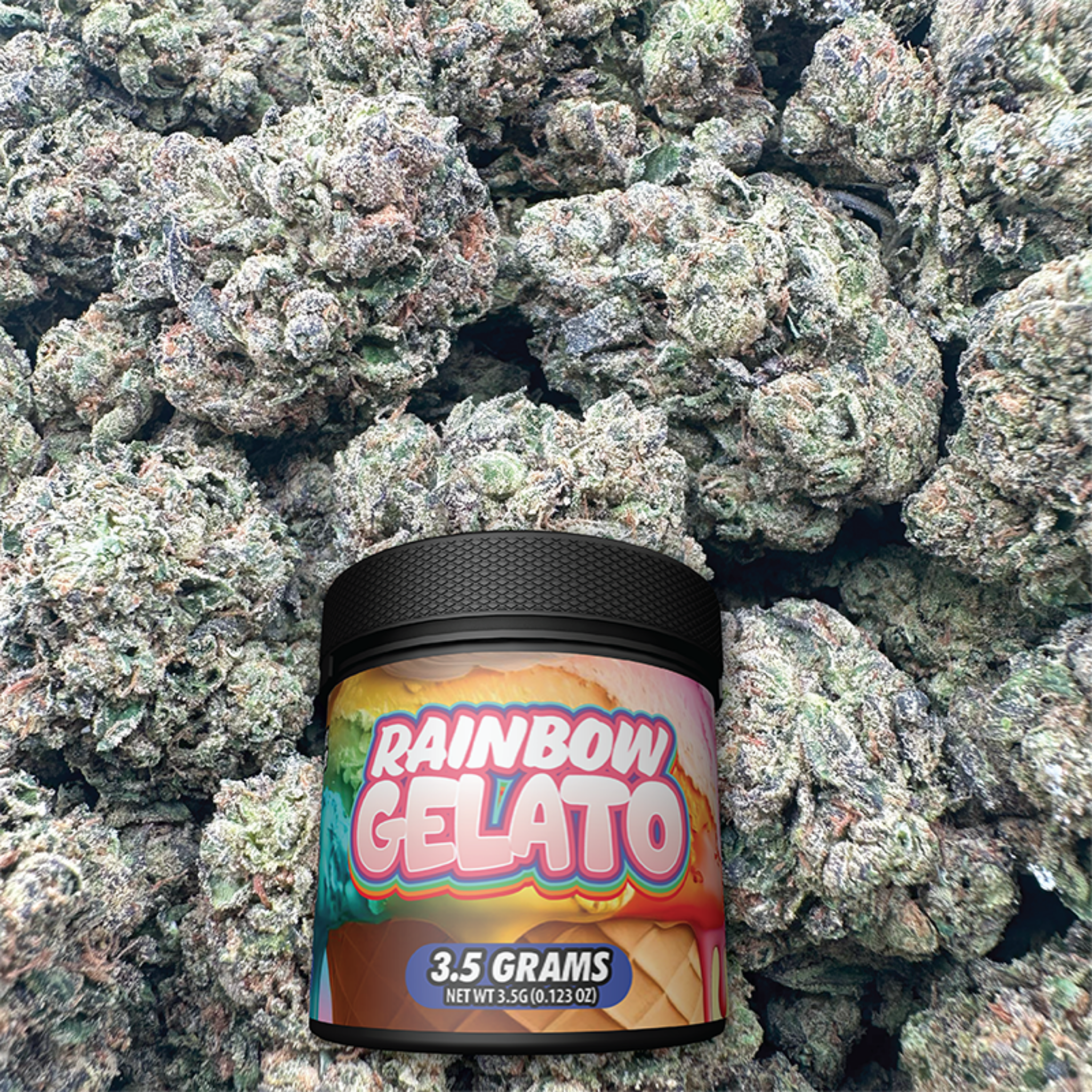 Jar of Rainbow Gelato cannabis product with buds in the background