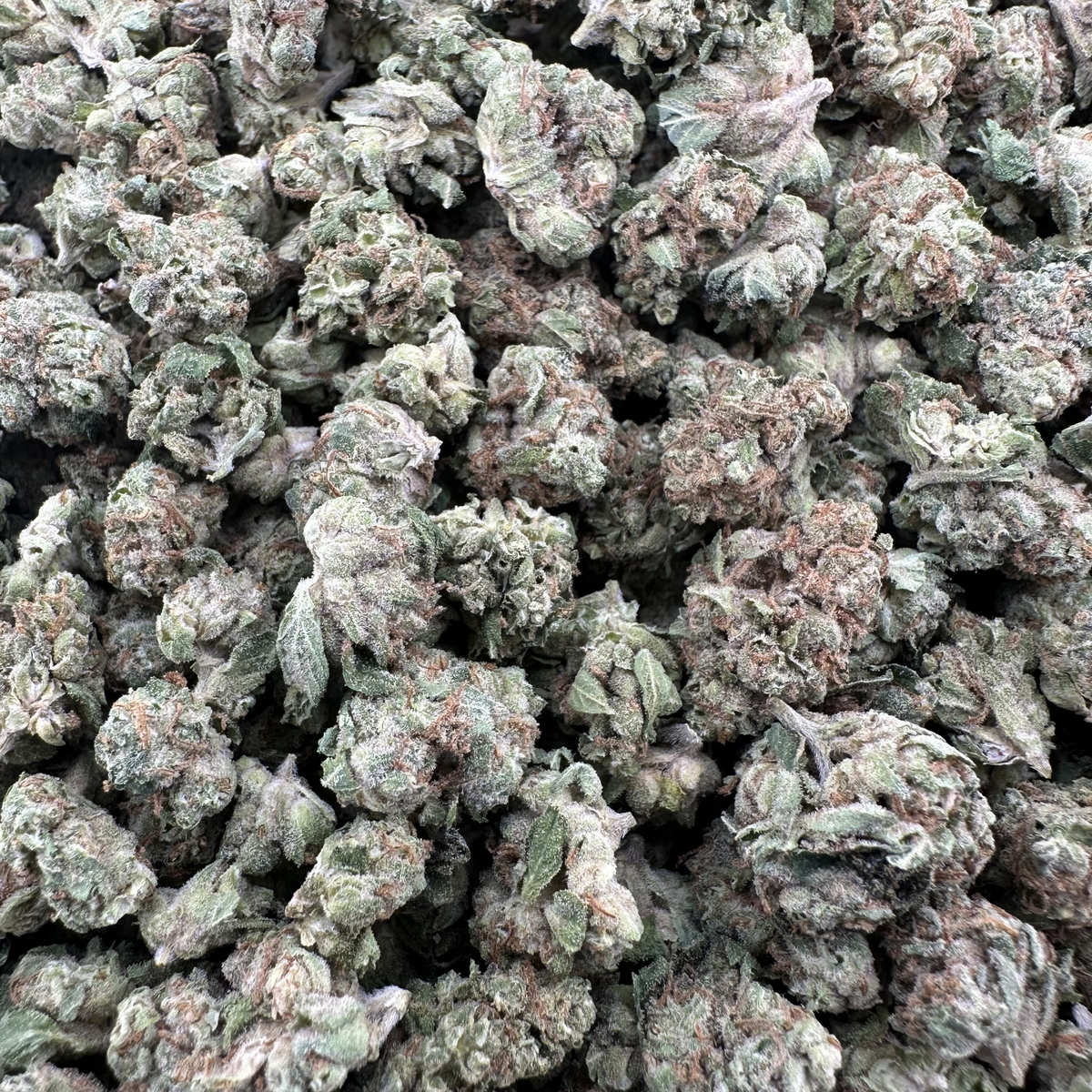Close-up of dried buds with a green and brown color.