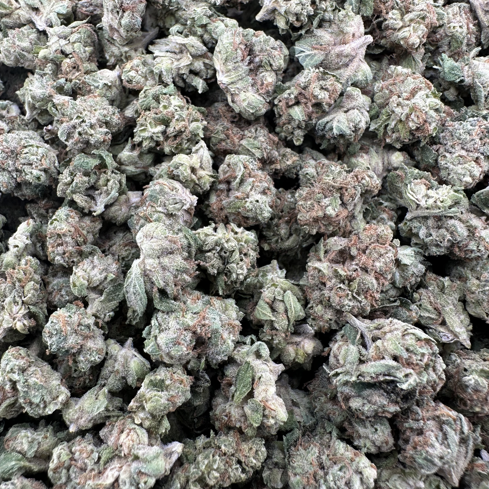 Close-up of dried buds with a green and brown color.