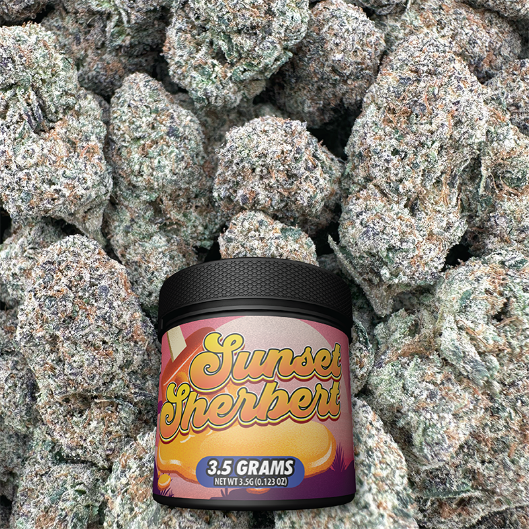 Jar of 'Sunset Sherbert' on a bed of buds