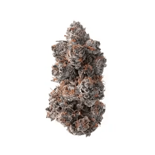 nug-loop