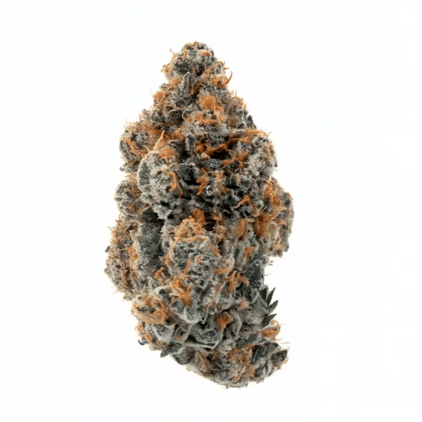 nug-loop-hd