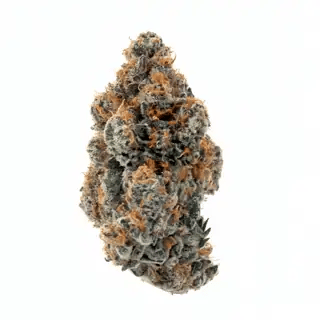 nug-loop