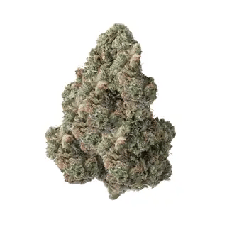 nug-loop