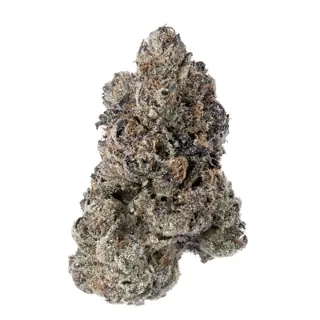 nug-loop