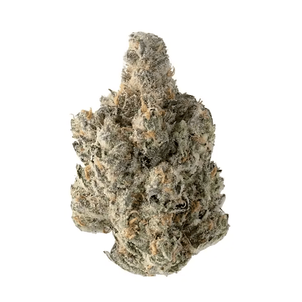 nug-loop-hd