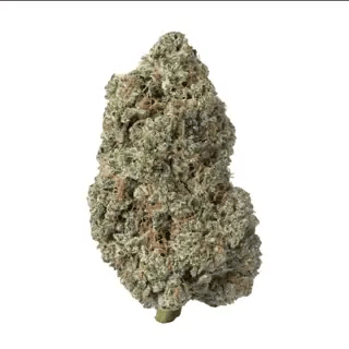 nug-loop