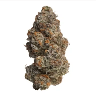 nug-loop