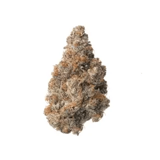 nug-loop