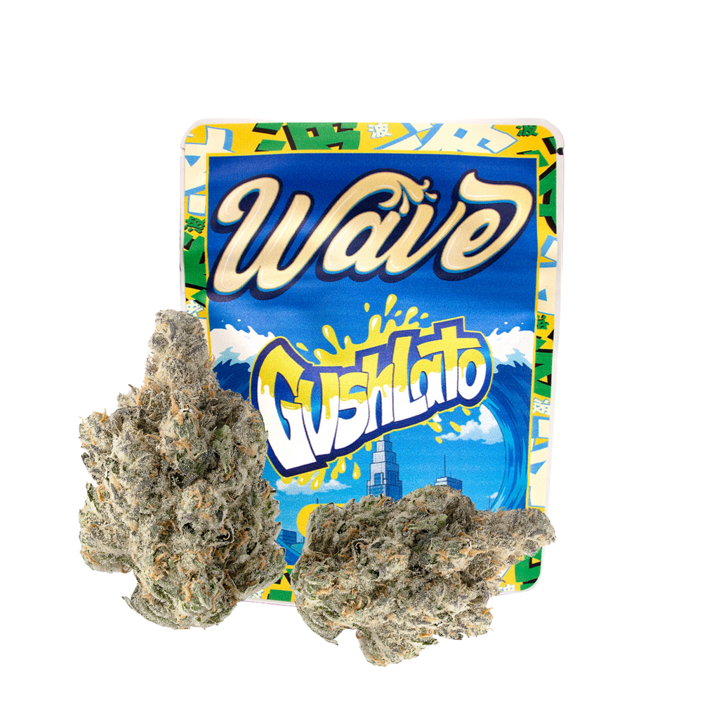 Wave Gushlato packaging with dried buds on a white background