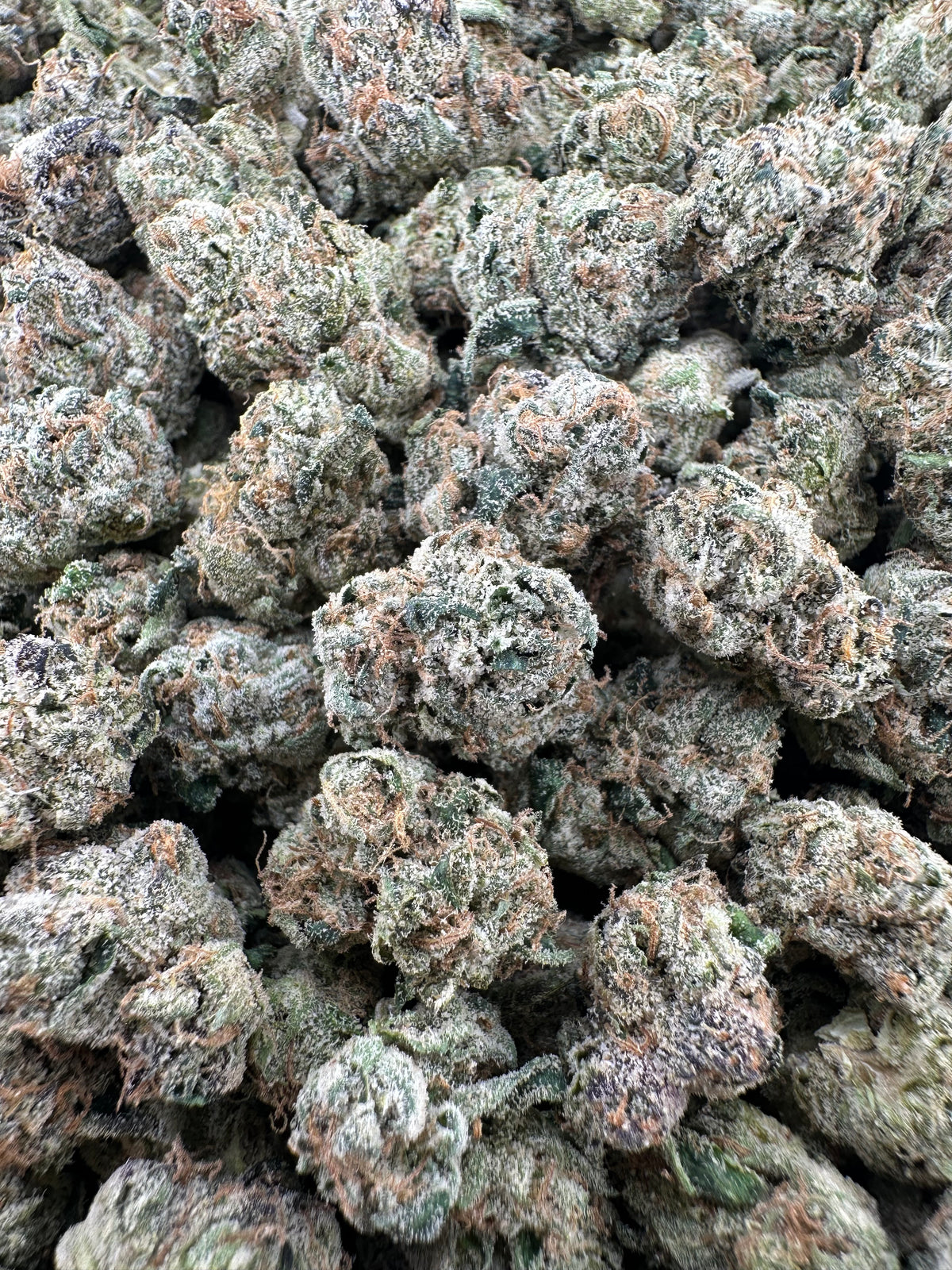 White Cherry Gelato Smalls - Hybrid