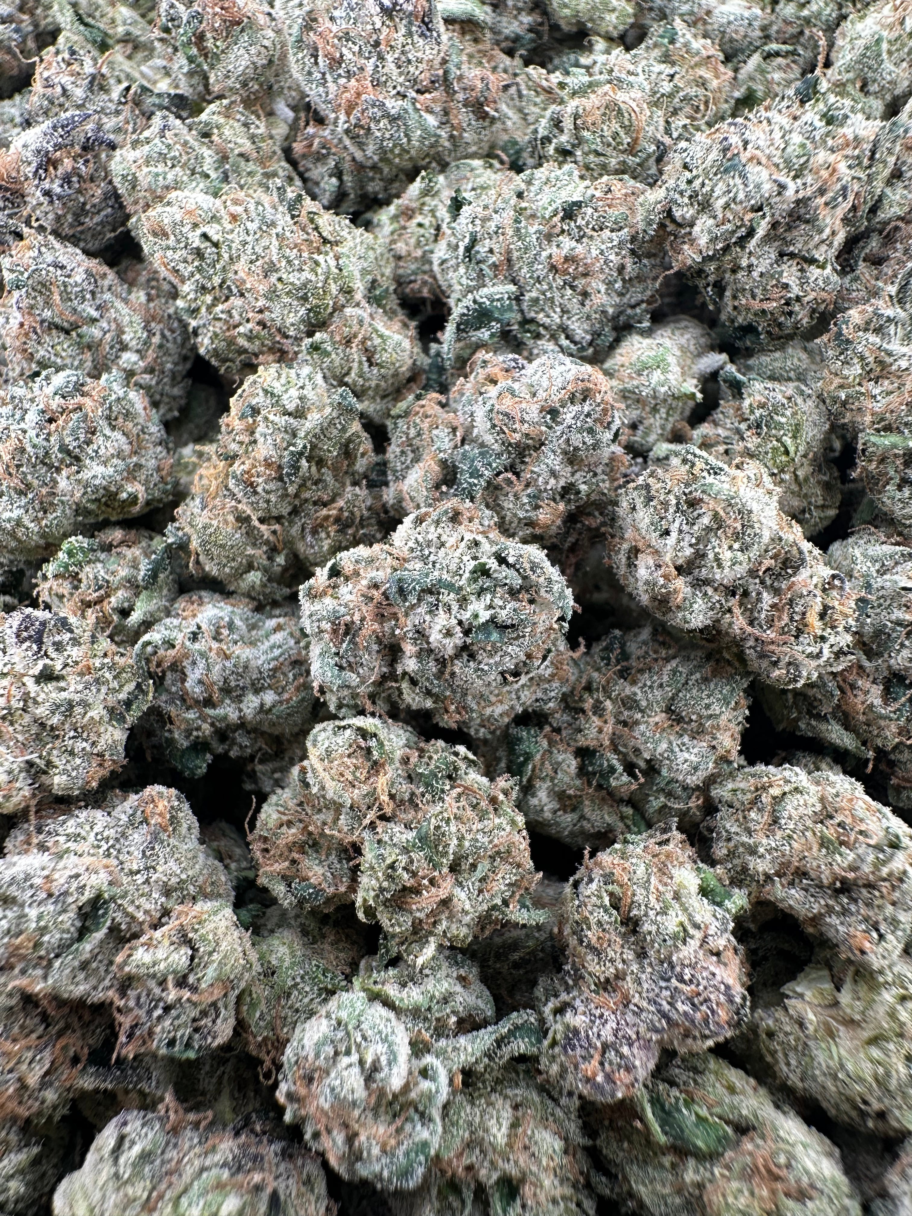 White Cherry Gelato Smalls - Hybrid (28g)